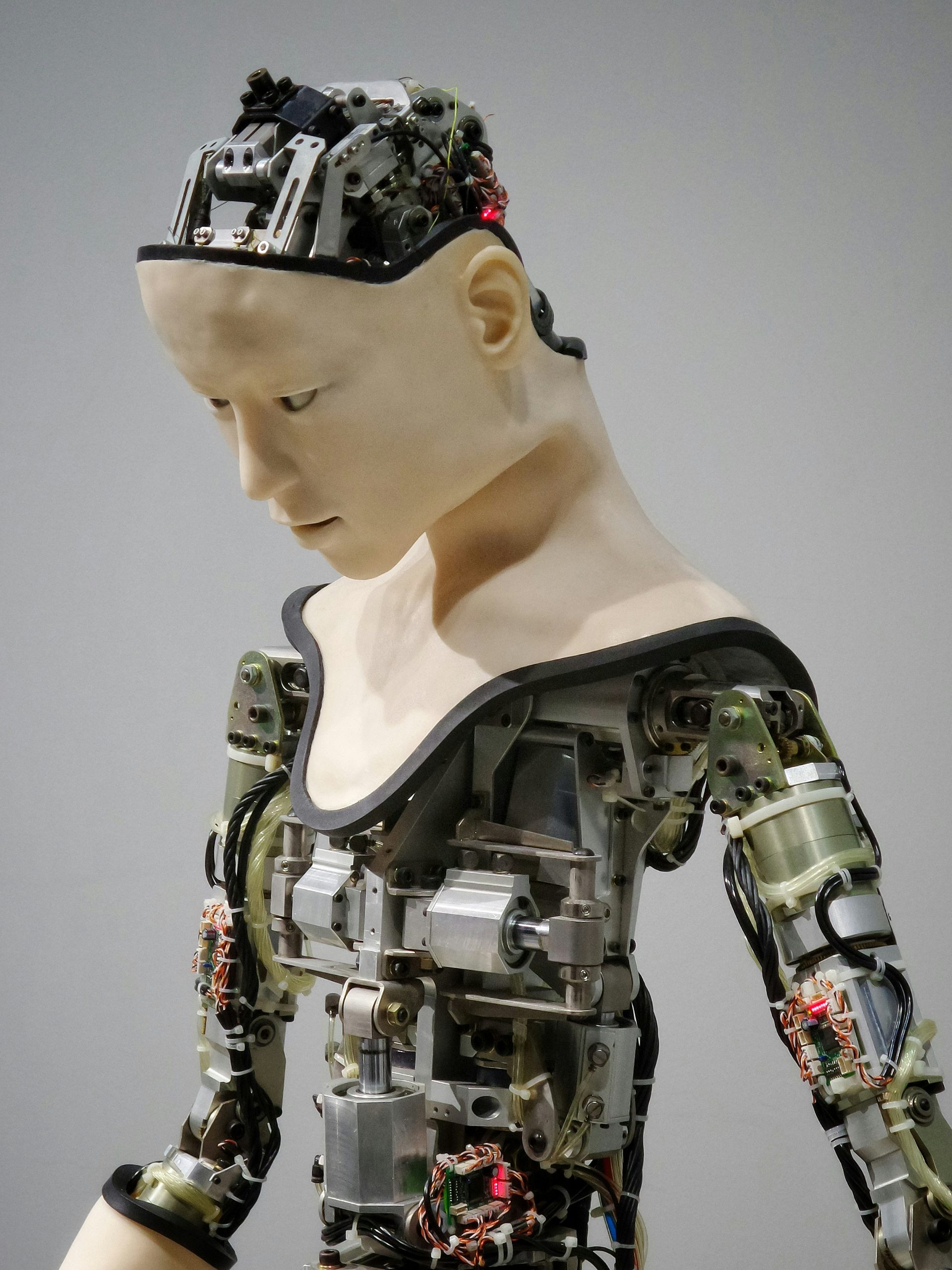¿Cómo van a cambiar tu vida la Inteligencia Artificial y el Aprendizaje Automático?